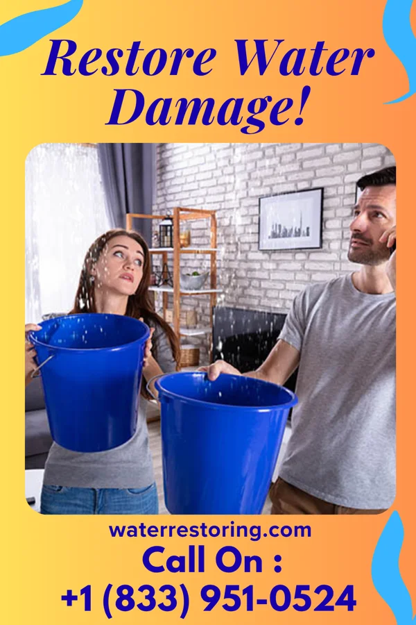 water restoration Eagle Restoration LLC Merna