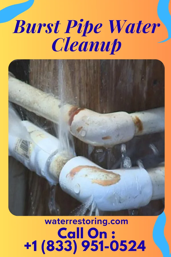 Burst Pipe Water Cleanup in Merna, NE