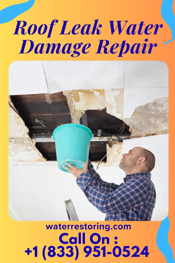 Roof Leak Water Damage Repair in Merna, NE