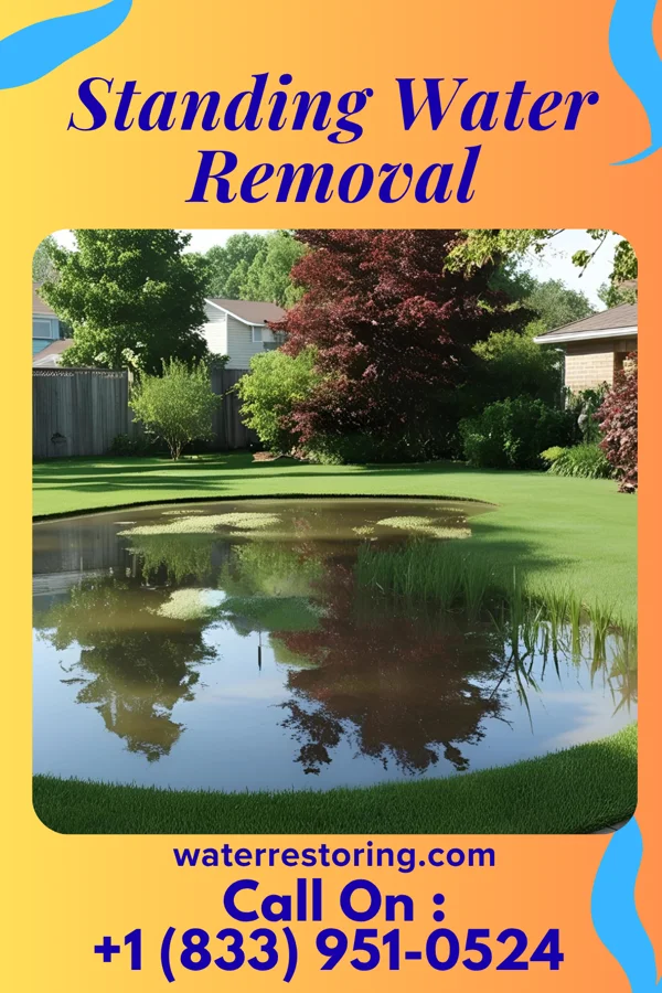 Standing Water Removal in Merna, NE